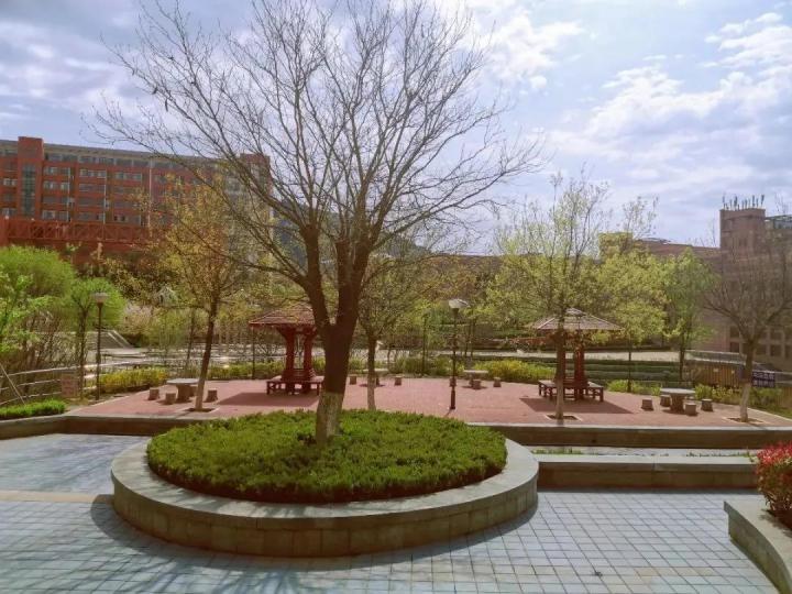 1586417618309074008.jpg 1586417618309074008.jpg